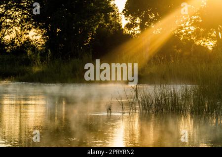 Das Sonnenlicht kommt von oben rechts nach unten nach links auf die Wasseroberfläche des Flusses. Kwando River, Namibia, Afrika Stockfoto