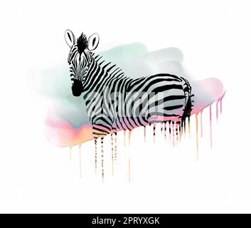 Schickes Zebra mit bunten Streifen und Aquarellen Stockfoto
