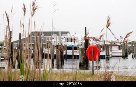 Auf den Partyfischerbooten im Captree State Park könnt ihr durch Schilfgras schlendern. Stockfoto