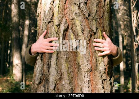 Arme umarmt einen Baum in einem Wald. Stockfoto