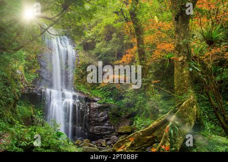Der Yunsen-Wasserfall im Herbst, drei Schluchten, New Taipei City, Taiwan Stockfoto