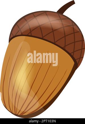 Ahornfrucht Stock Vektor