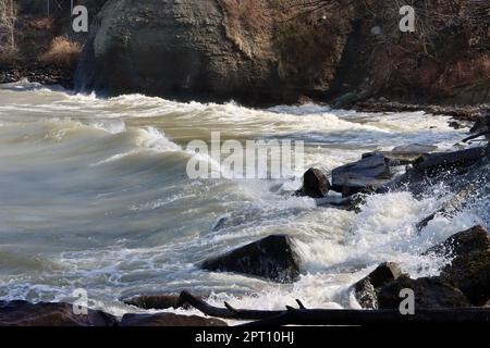 Die Küste am Lake Erie im Lakewood Park westlich der Stadt Cleveland, Ohio Stockfoto