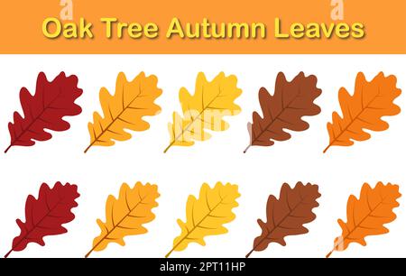 Oak Tree Rowan Leaf Set Stock Vektor