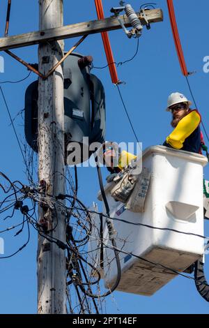 Detroit, Michigan – Mitarbeiter von DTE Energy führen Wartungsarbeiten an privaten Stromleitungen durch. Stockfoto