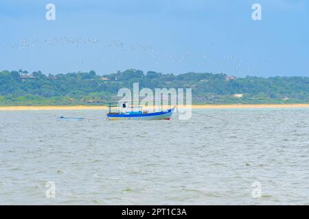 Kleines Fischerboot, das mitten im Meer in der Nähe des Strandes festgemacht ist und über dem Möwen fliegen. Coroa Vermelha Strandlandschaft, Santa Cruz Cabralia - Ba Stockfoto