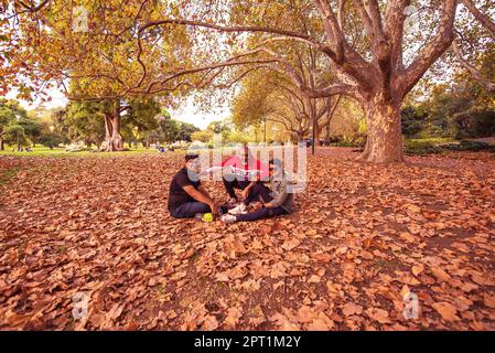 26. April 2023, Melbourne, Victoria, Australien: Besucher genießen die Herbstsaison in den Alexandra Gardens in der Nähe des Yarra River in Melbourne. Alexandra Gardens ist Teil der Domain Parklands. Die Gärten befinden sich in einer Gegend neben dem Yarra River. Zu den wichtigsten Merkmalen der Gärten gehören die Linie der historischen Ruderboathouses mit Blick auf den Fluss und der Riverslide Skate Park. Ab 1896 wurde unter der Leitung des Ingenieurs Carlo Catani ein neuer Kanal zur Begradigung des Flusses geschaffen, und die Sümpfe und Lagunen wurden mit Verderben aus den Kanalwerken gefüllt. Die Gärten wurden dann erstellt und rechtzeitig für einen königlichen Besuch von t fertiggestellt Stockfoto
