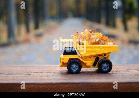 Das Konzept der saisonalen Ernte im Herbst Laub ist in der Form eines Spielzeugs gelbe Lastwagen geladen mit Blättern vor dem Hintergrund der Dargestellten Stockfoto