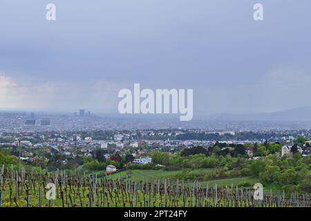 Heftiger Regen über Wien, Blick von Kahlenberg Stockfoto