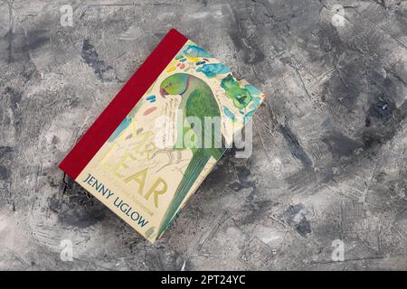 2017 Biografie des polymathematischen Victorianischen Edward Lear, vielleicht am bekanntesten für seine unsinnige Poesie Stockfoto