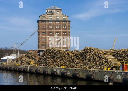 Ein Haufen Holz in einem Hafen Stockfoto