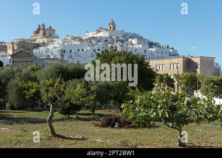 Ostuni in der Provinz Brindisi, Apulien, Italien Stockfoto