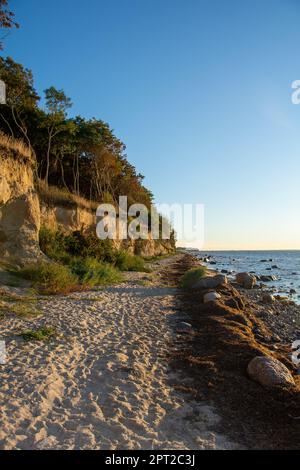 Steile Küste am schwarzen Busch mit Meer und blauem Himmel, auf der Insel Poel an der Ostsee, Deutschland Stockfoto