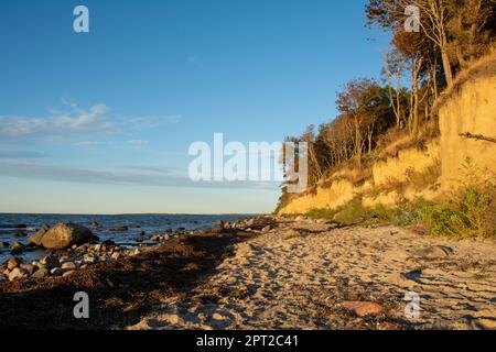 Steile Küste am schwarzen Busch mit Meer und blauem Himmel, auf der Insel Poel an der Ostsee, Deutschland Stockfoto