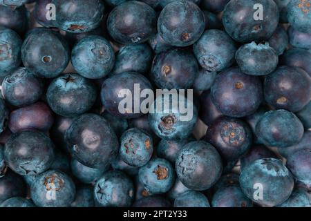 Genießen Sie den Geschmack des Sommers mit frischen Bio-Blaubeeren und anderen köstlichen Beeren. Diese saftigen und reifen Früchte sind nicht nur lecker, sondern auch beladen Stockfoto