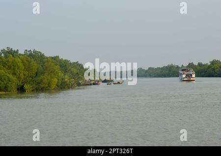 Natürliche Schönheit von Sundarban, wunderschöner Mangroven-Sonnenbaron Stockfoto