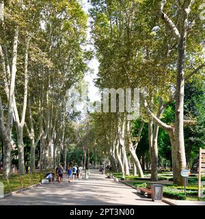 Istanbul, Türkei - 30. August 2022: Fußgänger, die im Sommer im Stadtteil Sultan Ahmet im Gulhane Park in einer Passage mit riesigen grünen Bäumen spazieren Stockfoto