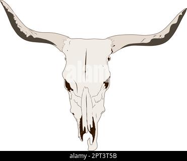 BULLENSCHÄDEL Stock Vektor