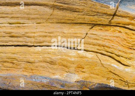 Muster, Holzmaserung und Risse in einer Makroaufnahme eines versteinerten Holzes. Stockfoto