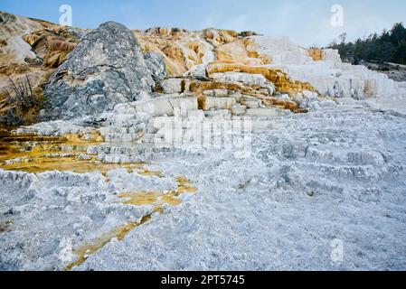 Palette Spring in den Mammoth Hot Springs im Yellowstone-Nationalpark Stockfoto