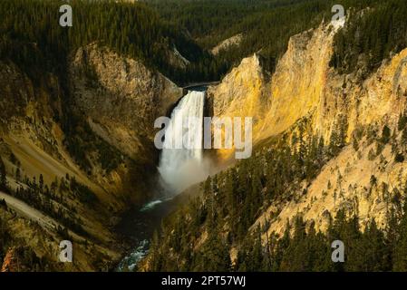 Lower Falls des Yellowstone River im Yellowstone National Park, vom Lookout Point am Nordrand des Canyons aus gesehen Stockfoto