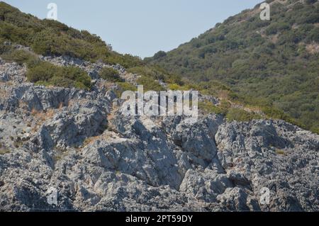 Klippen der Ägäis in Bodrum, Türkei Stockfoto