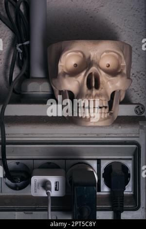 Schädel über Steckdosen Stockfoto