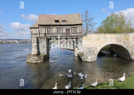 Vernon ist eine Gemeinde im französischen Departement Eure, der Verwaltungsregion der Normandie, Nordfrankreich. Es liegt am Ufer der seine, etwa auf halbem Weg zwischen Paris und Rouen. Vernon ist eine Gemeinde im französischen Departement Eure, der Verwaltungsregion der Normandie, Nordfrankreich. Es liegt am Ufer der seine, etwa auf halbem Weg zwischen Paris und Rouen. Die alte Mühle von Vernon, die Old Mill Bridge, die Old Mill Bridge von Vernon, die alte Mühle, Brücke, At, vernon, in, frankreich, over, the, Flusswade, Normandie, Normandie, Nordwestfrankreich, Frankreich, Europa, Europa, die, alt, Mühle, Brücke, A Stockfoto