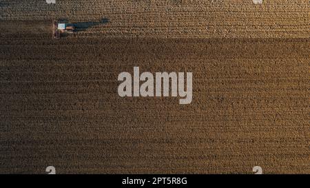 Ein Landwirt, der einen Raupentraktor fährt, zieht eine Staubwolke nach hinten, pflutet die Kruste, die durch die Kraft zerbricht, um Geburt und Aussaat zu erleichtern Stockfoto