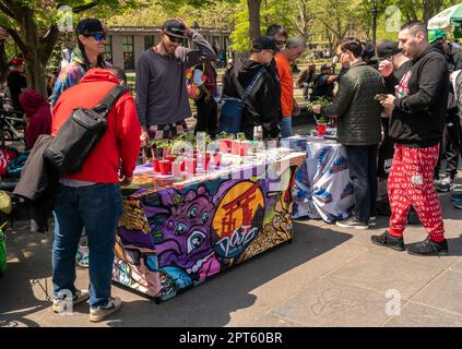 Die „Potrepreneurs“ strömen am Donnerstag, den 20. April 2023, zum Washington Square Park in New York, um ihre Marihuana-bezogenen Waren zu verkaufen und den inoffiziellen Cannabisurlaub „4/20“ zu feiern. New York legalisierte Marihuana 2021. (© Richard B. Levine) Stockfoto