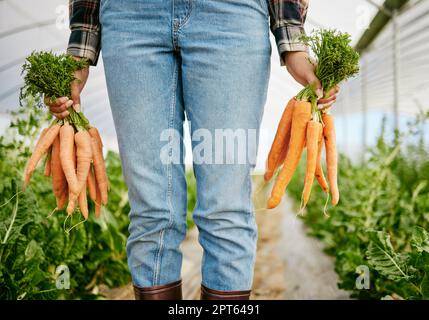 Verbesserung der Sehkraft bei jedem Biss. Ein nicht wiedererkennbarer Bauer, der einen Haufen frisch geernteter Karotten in der Hand hat Stockfoto