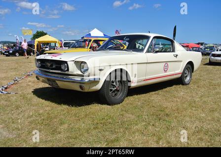 Ein Ford Mustang 289 Fastback aus dem Jahr 1965 wurde bei der 47. Historic Vehicle Gathering, Powderham, Devon, England, ausgestellt. Stockfoto