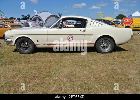 Ein Ford Mustang 289 Fastback aus dem Jahr 1965 wurde bei der 47. Historic Vehicle Gathering, Powderham, Devon, England, ausgestellt. Stockfoto