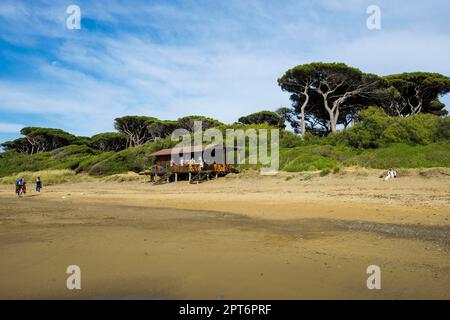 Strandbar, Spiaggia di Baratti, Baratti, Populonia, in der Nähe von Piombino, Maremma, Provinz Livorno, Toskana, Italien Stockfoto