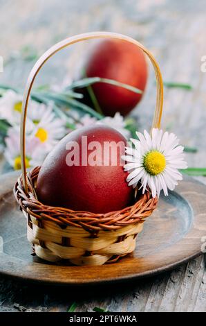 Hand gemalte rote Ostereier und daisy flower closeup in rustikalen Holzmöbeln Korb. Ostern Stillleben Feder Dekoration. Traditionelle handbemalte ester Eier Stockfoto