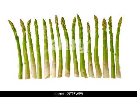 Frische Spargelstämme in einer Linie isoliert auf weiß Hintergrund Stockfoto