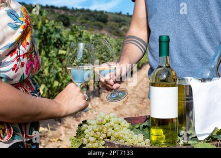 Vermentino Wein. Junge Jungen stoßen mit einem Glas Weißwein in den Reihen eines Weinbergs an. Lifestyle, Essen und Trinken. Stockfoto