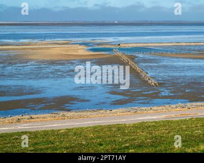 Blick vom Deich des Niedersächsischen Wattenmeers mit dem Wasser, das abfließt, und weiter Blick auf die Insel Langeoog unter einem wolkigen Himmel. Stockfoto