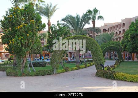 Rasen unter Palmen im Resort in Ägypten. Hotel mit gepflegten Gebiet. Fußweg zwischen grünen Gras im Hoheitsgebiet eines 5 Sterne Hotels. Beau Stockfoto