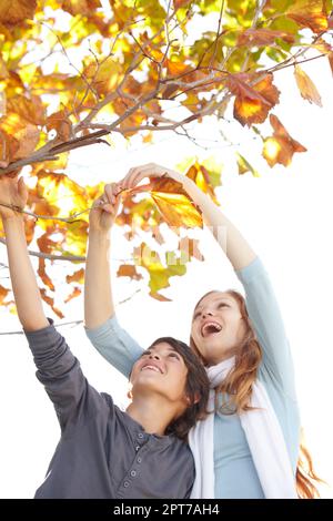 Herbstspaß. Ein Bruder und eine Schwester, die die Herbstblätter berühren Stockfoto