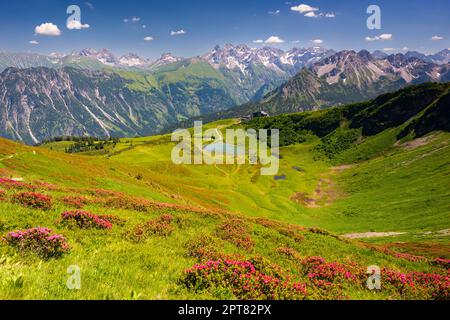 Alpenrosenblüte, Panoramablick von Fellhorn über Schlappoldsee und Fellhornbahn Bergstation zum zentralen Hauptkamm der Allgaeu-Alpen Stockfoto