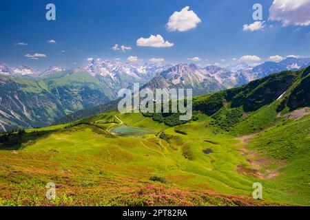 Alpenrosenblüte, Panoramablick von Fellhorn über Schlappoldsee und Fellhornbahn Bergstation zum zentralen Hauptkamm der Allgaeu-Alpen Stockfoto