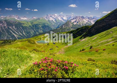 Alpenrosenblüte, Panoramablick von Fellhorn über Schlappoldsee und Fellhornbahn Bergstation zum zentralen Hauptkamm der Allgaeu-Alpen Stockfoto