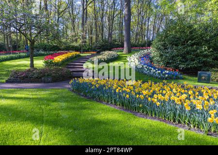 Europa, Niederlande, Südholland, Lisse. 26. April 2022. Narzissen und Tulpen in der Gartenanlage Keukenhof. Stockfoto