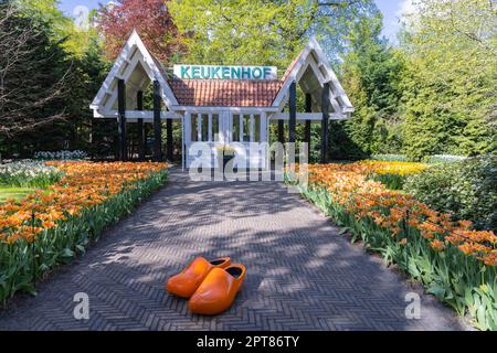 Europa, Niederlande, Südholland, Lisse. 26. April 2022. Orangefarbene Holzschuhe vor dem Eingang zum Garten Keukenhof. Stockfoto