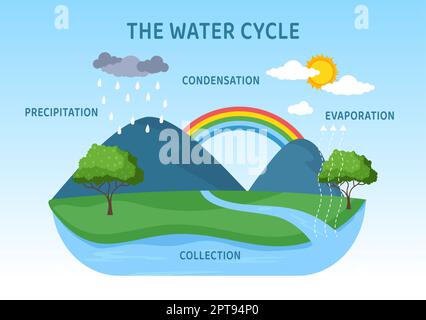 Wasserkreislauf von Verdunstung, Kondensation, Niederschlag zur Sammlung in natürlicher Umgebung der Erde auf flachem Cartoon Handgezeichnete Vorlagenillustration Stockfoto