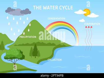 Wasserkreislauf von Verdunstung, Kondensation, Niederschlag zur Sammlung in natürlicher Umgebung der Erde auf flachem Cartoon Handgezeichnete Vorlagenillustration Stockfoto