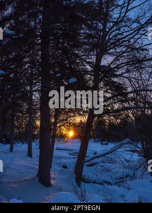 Sonnenaufgang am East Fork des Chippewa River im Norden von Wisconsin. Stockfoto