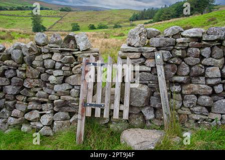 Holztor auf einem Wanderweg in den Yorkshire Dales, England, Großbritannien. Stockfoto