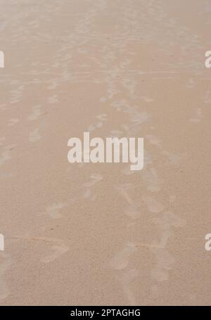 Schritte auf Sand. Fußabdrücke am Sandstrand. Puri Orissa Indien. Stockfoto